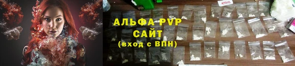 гидра Алексин