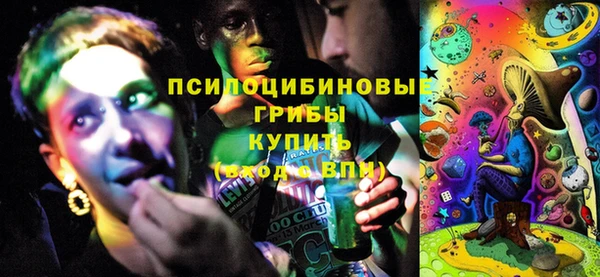 прущий лед Аркадак