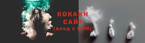 спиды Арсеньев