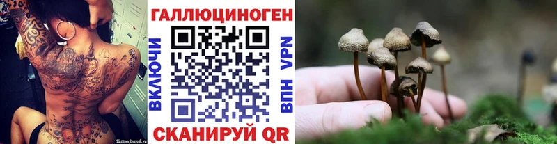 где продают наркотики  Баймак  Галлюциногенные грибы MAGIC MUSHROOMS 